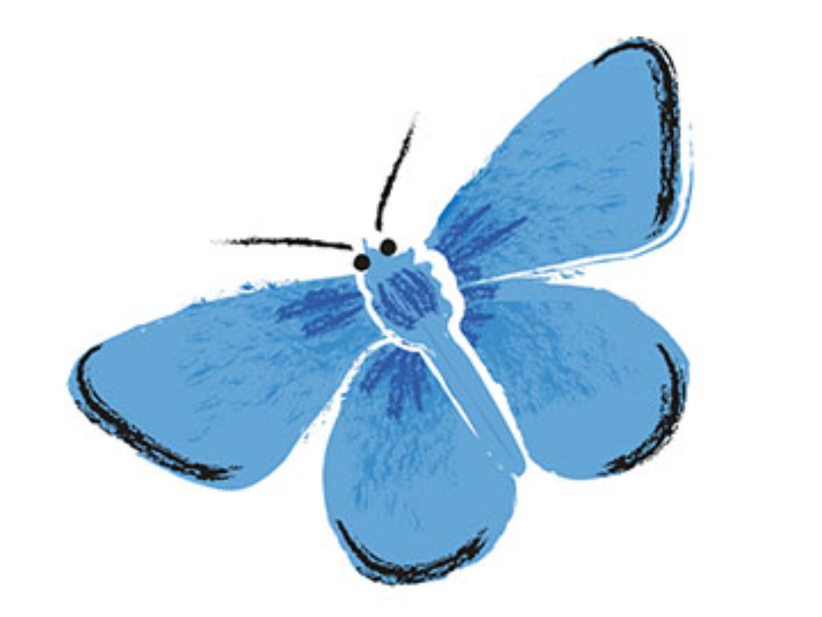 center-overlay-pic