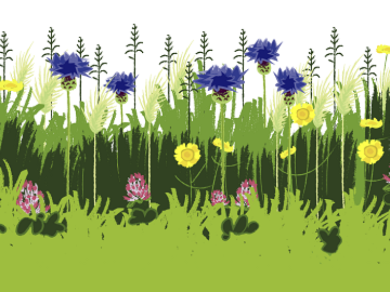 Bloemenstroken